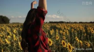 可爱的棕色长发女孩站在向日葵盛开的田野在阳光明媚的夏日迷人的女人举起手臂